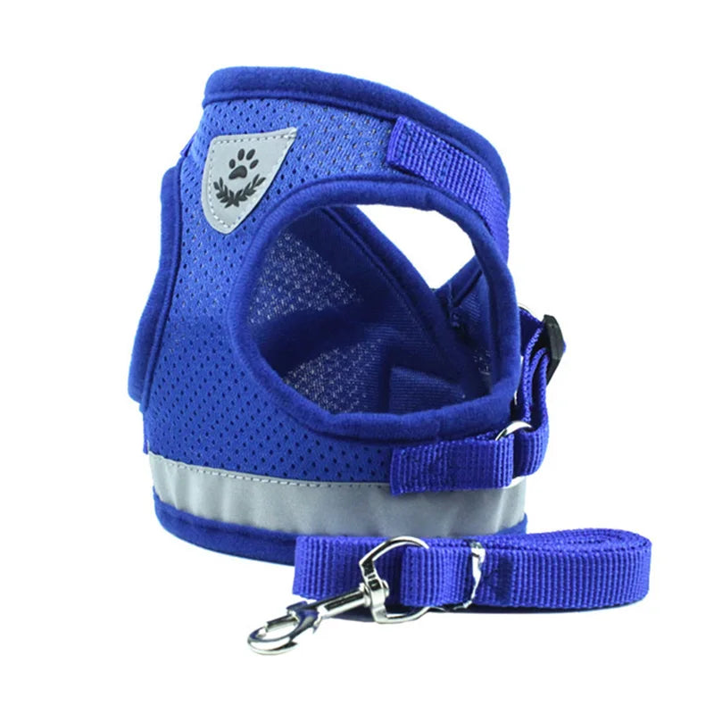 Sets Reflective Mesh Harnesses for Small
