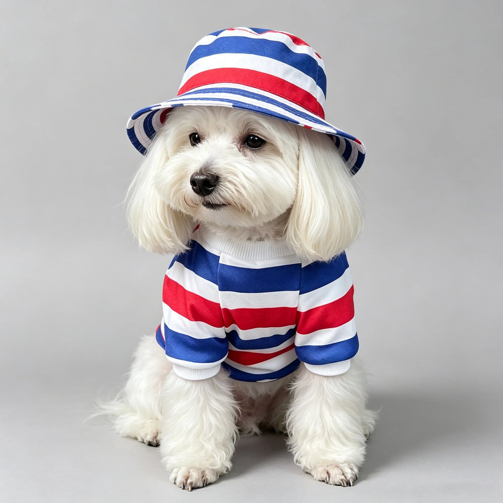 Fashionable Striped Hoodie
