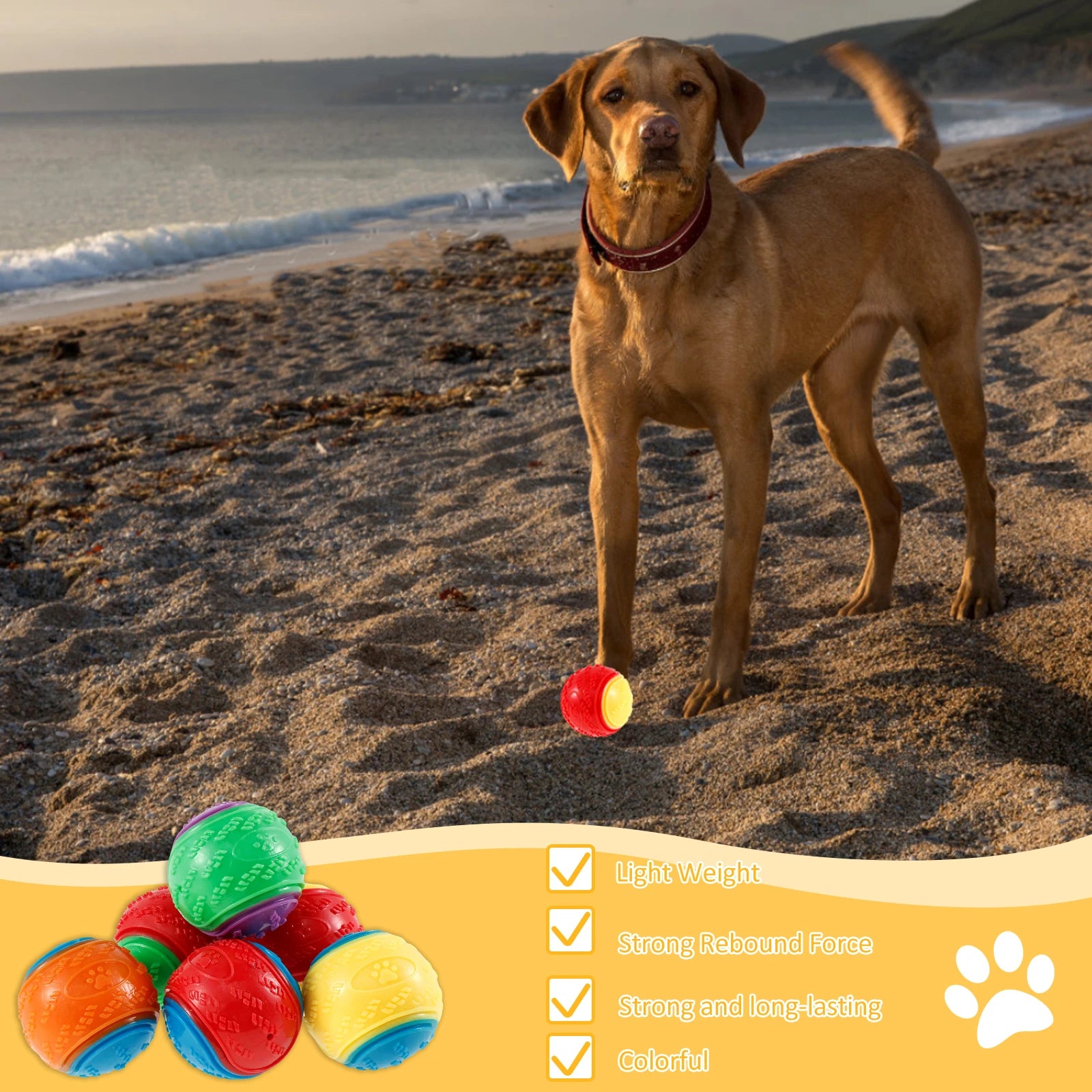 6 piece Squeaky Balls Interactive