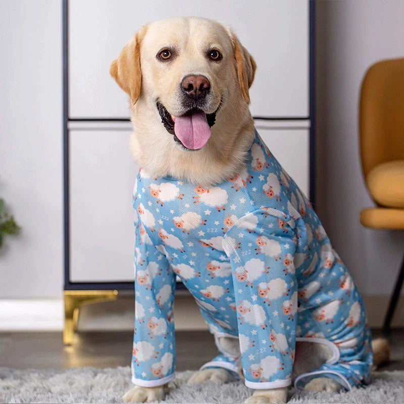 Large Sweater With Legs