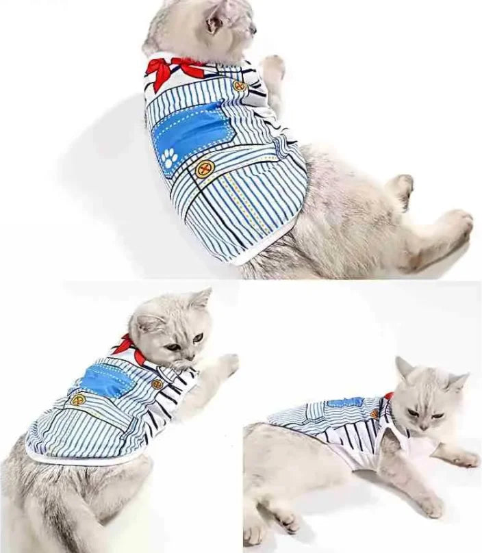 Soft Cotton Sweater