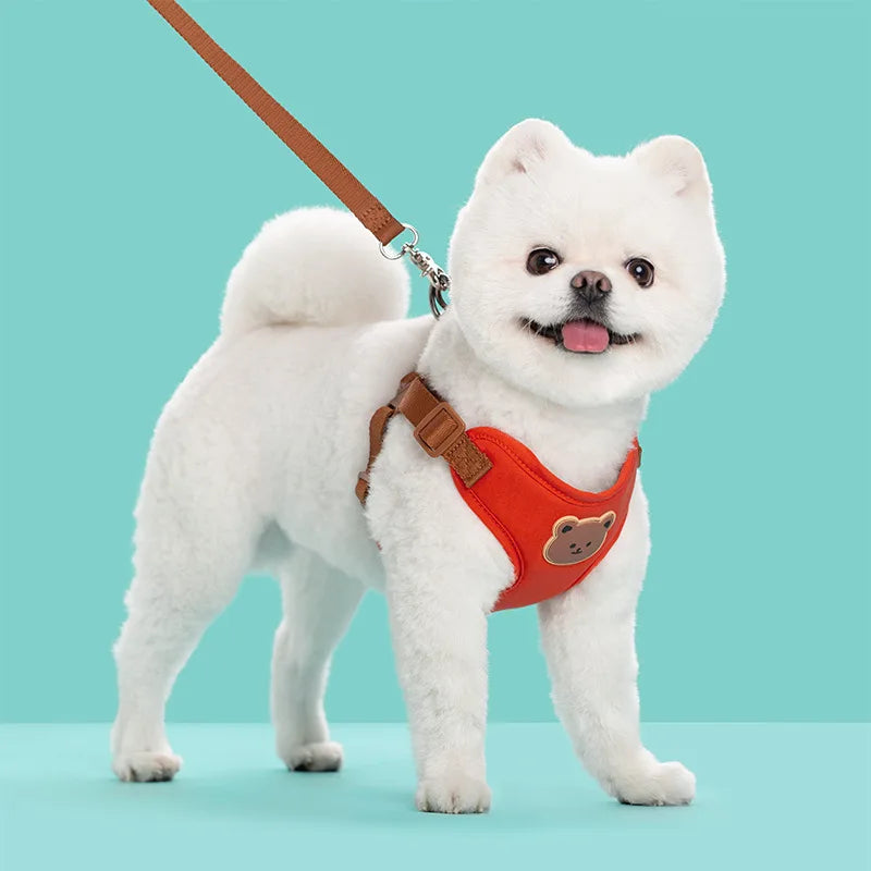Harness Leash Set Small Medium Dog Cat