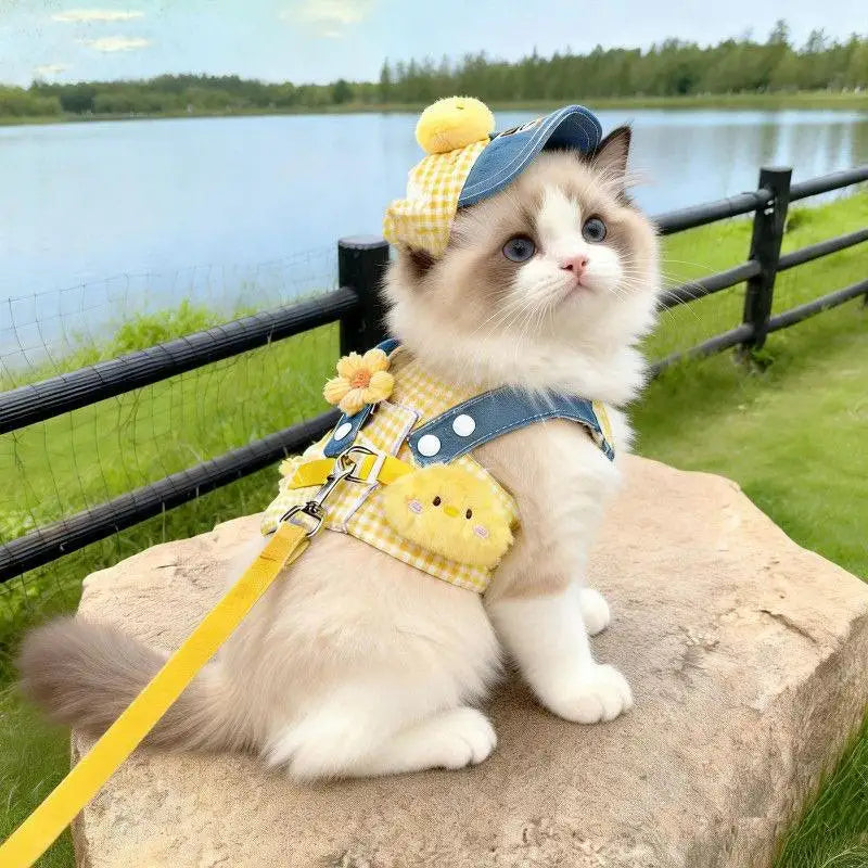 Dog Cat Hat Spring/Summer Harness and Leash