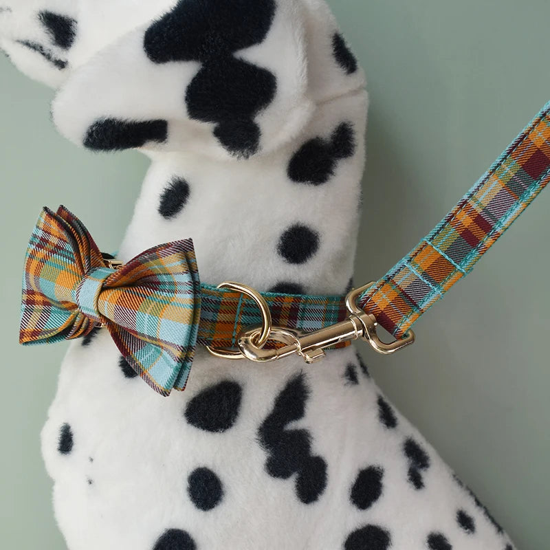 Collar Leash Harness Set Personalized