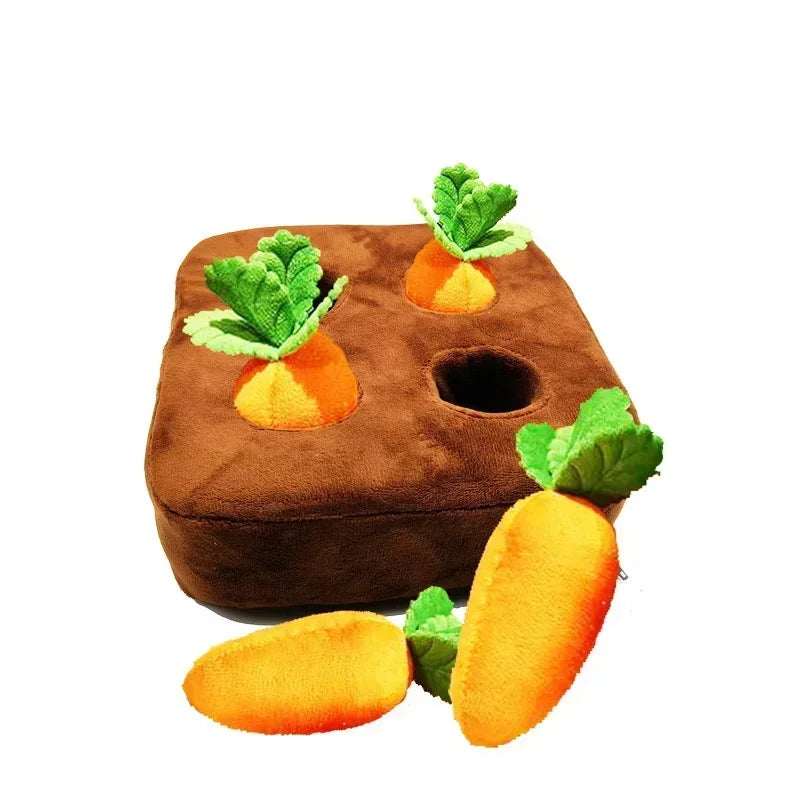 Carrot Toy Mat Innovative