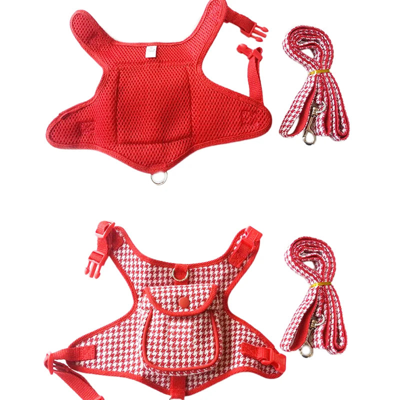 Harness and Leash Set