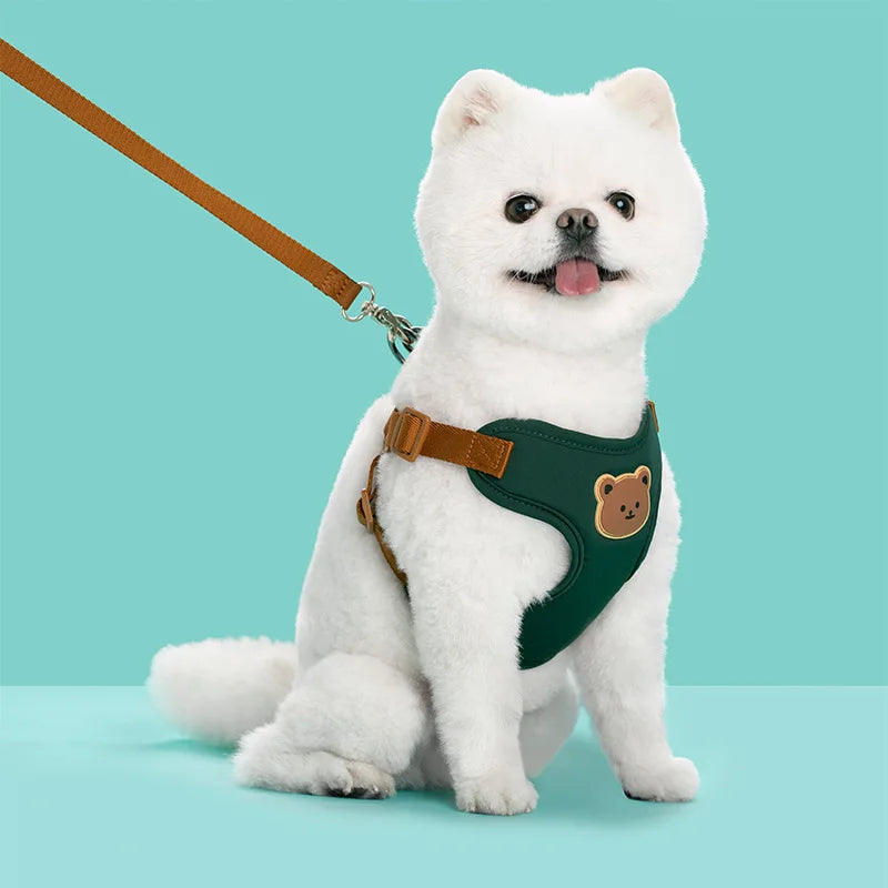 Harness Leash Set Small Medium Dog Cat
