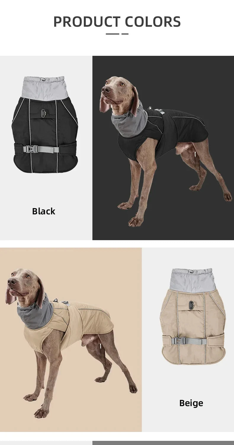 Light Luxury Winter Jacket