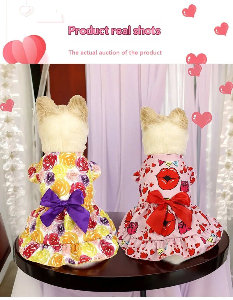 Party Outfit Dress