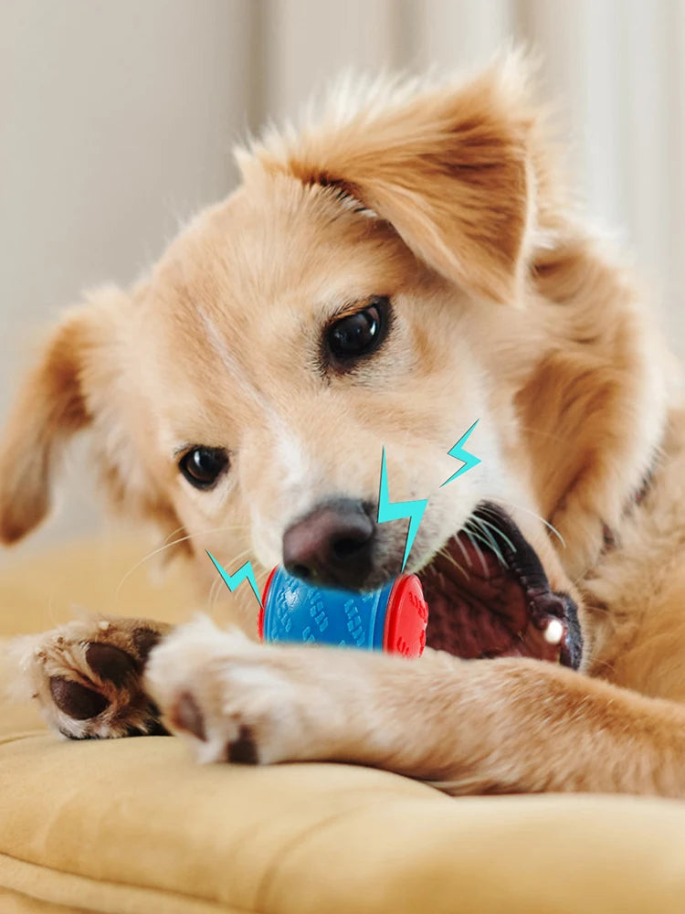 6 piece Squeaky Balls Interactive