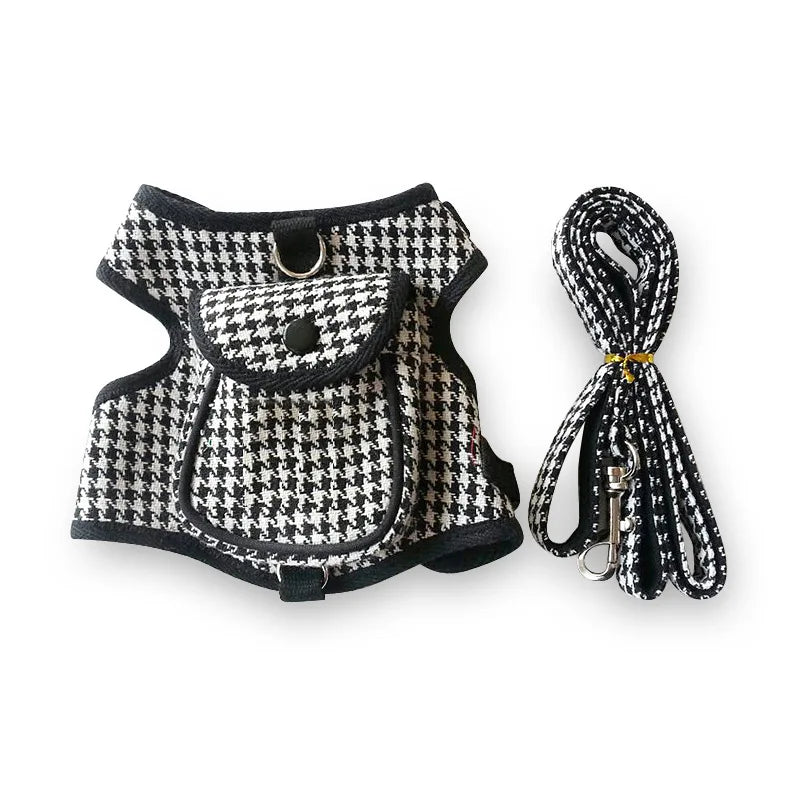 Harness and Leash Set