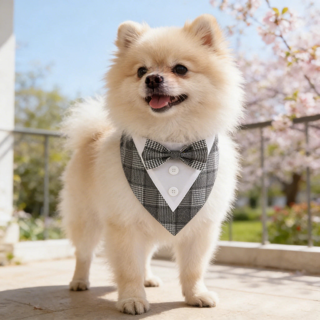 Bandana Bow Tie