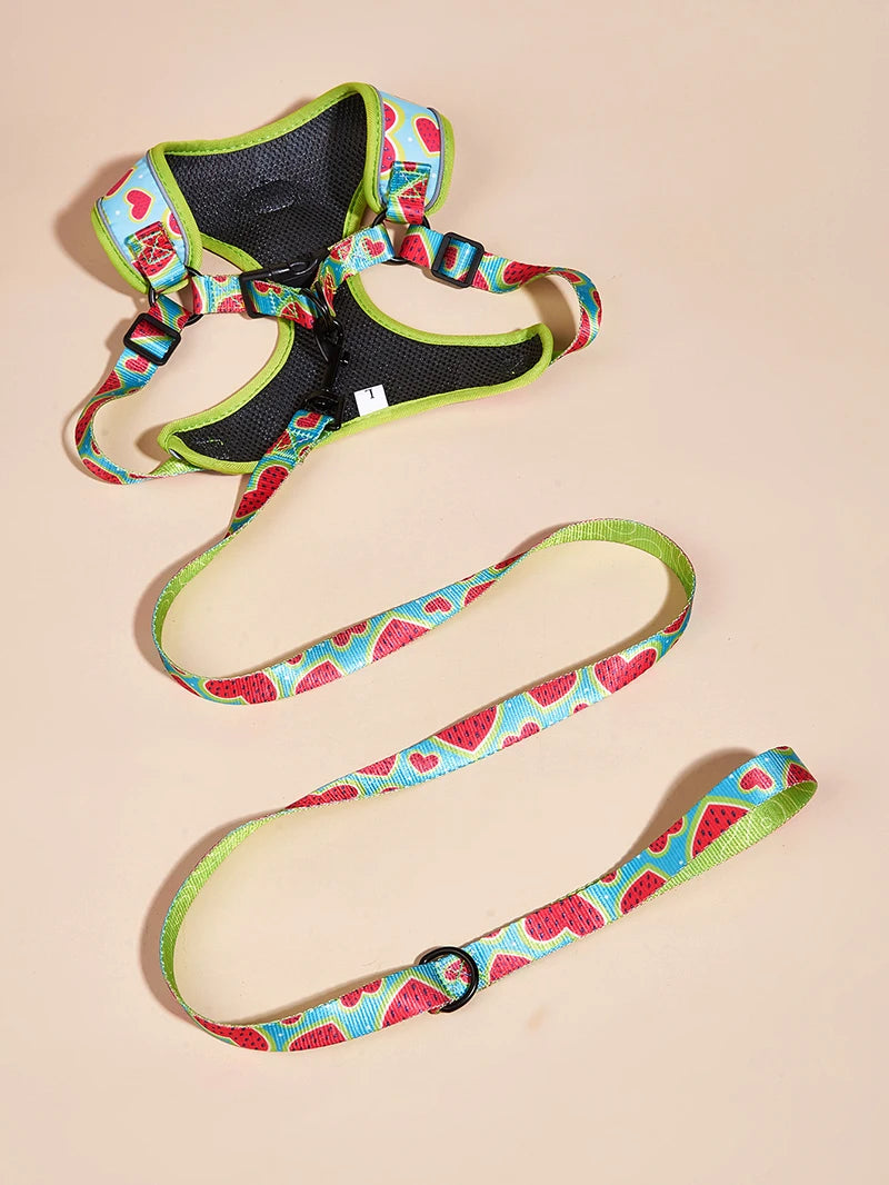 Set Love Heart Adjustable Harness