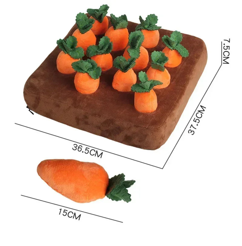 Carrot Toy Mat Innovative