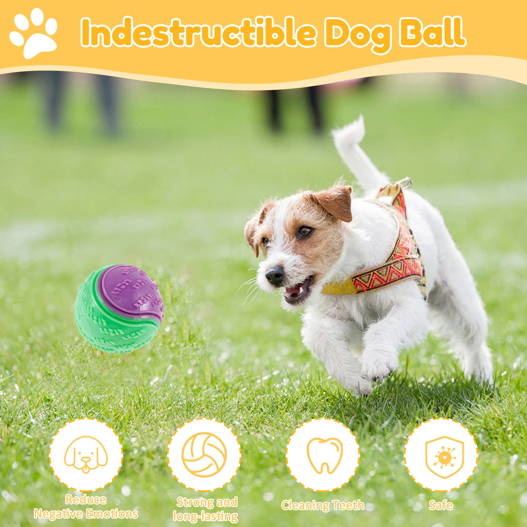 6 piece Squeaky Balls Interactive