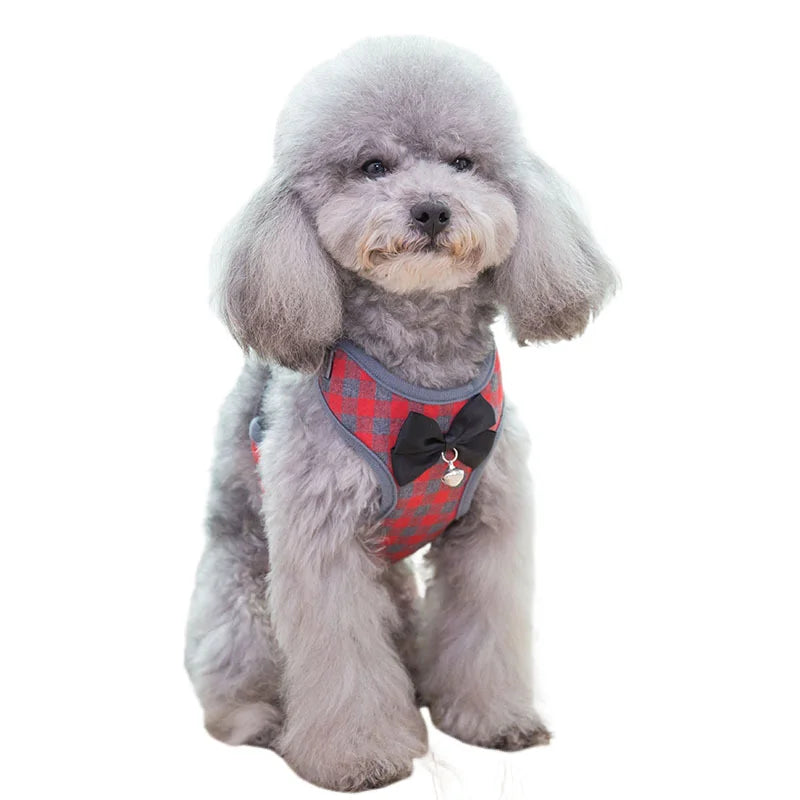 Harness and Leash Set Vest