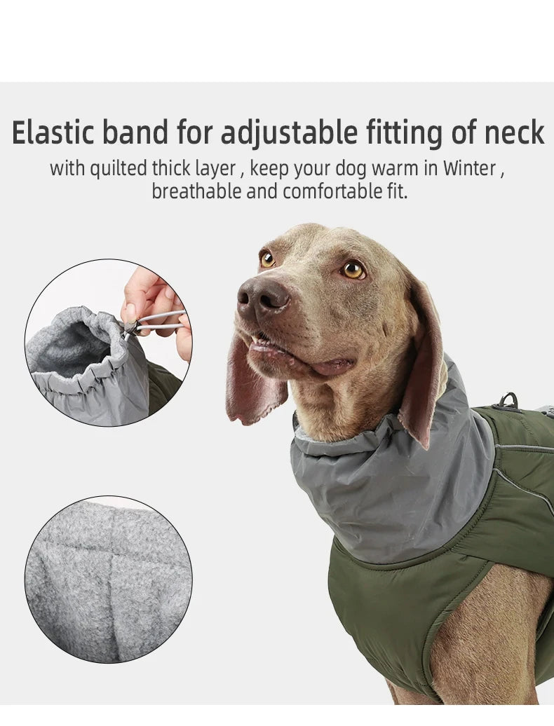Light Luxury Winter Jacket
