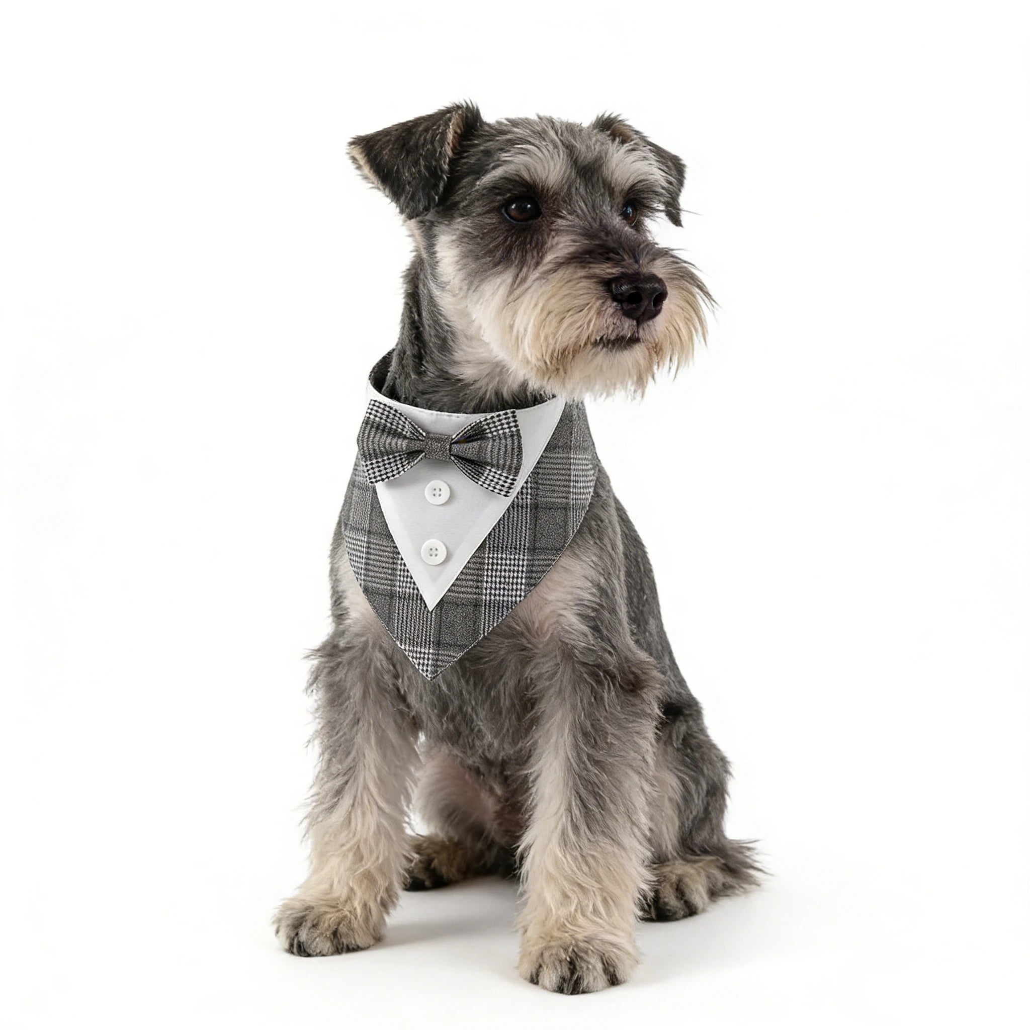 Bandana Bow Tie