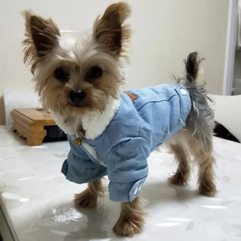 Denim Winter Warm Jacket