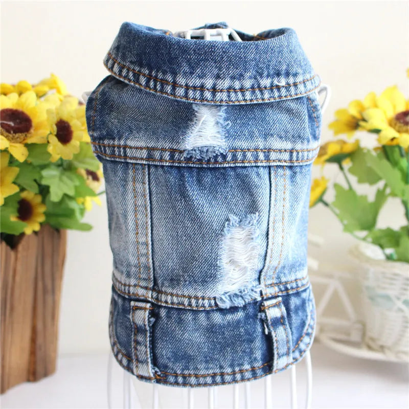 Denim Jeans Jacket