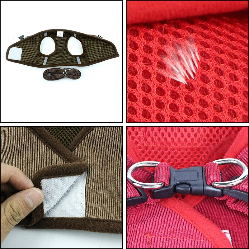 Sets Reflective Mesh Harnesses for Small