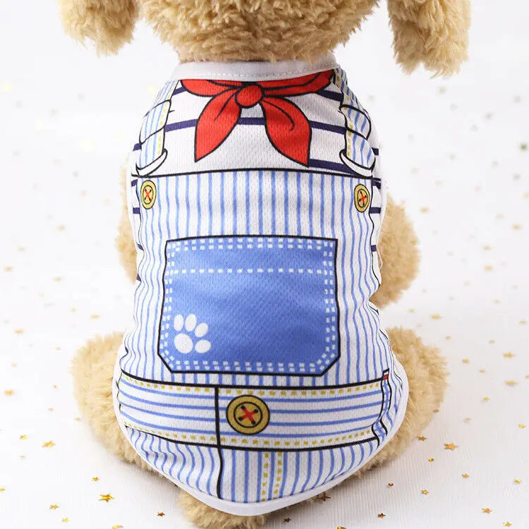 Soft Cotton Sweater
