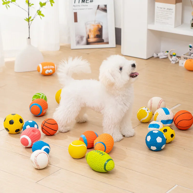 Squeaky Rubber Toys
