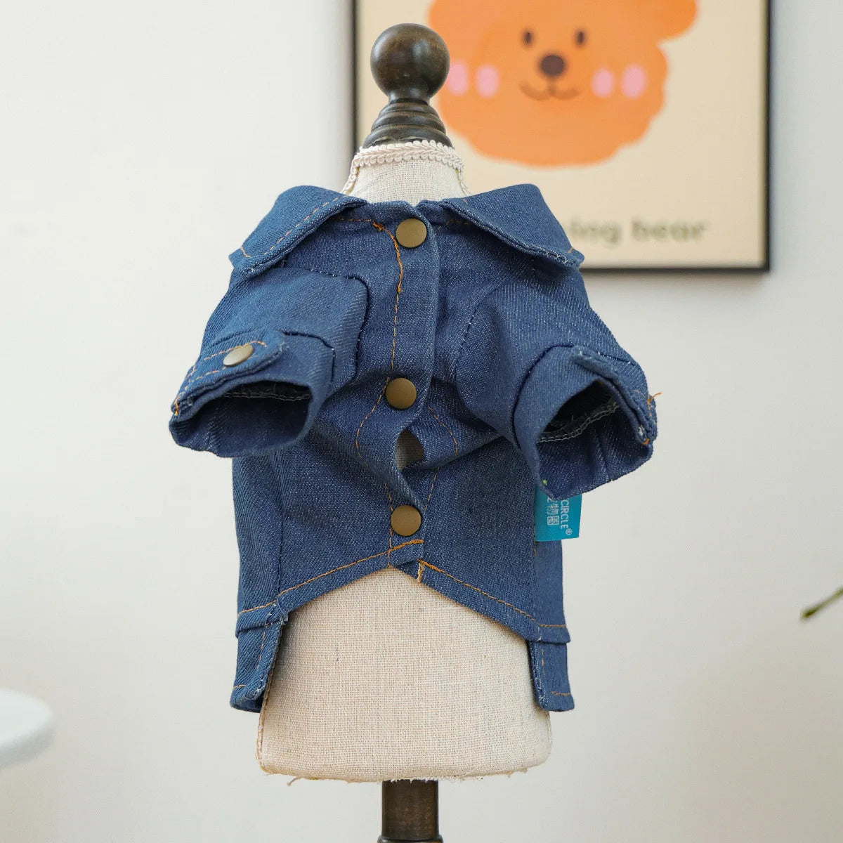 Winter Design Coat