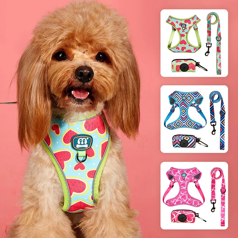 Set Love Heart Adjustable Harness