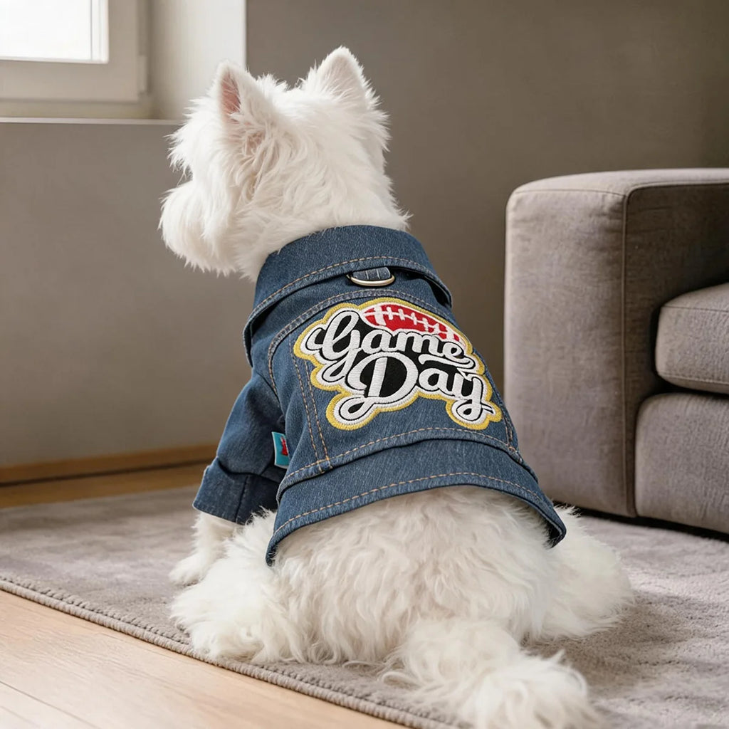 Winter Design Coat
