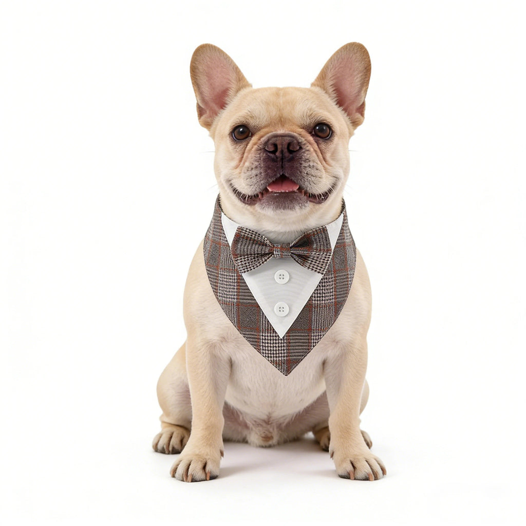 Bandana Bow Tie