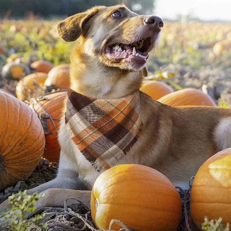 Medium Large Dog Bandana