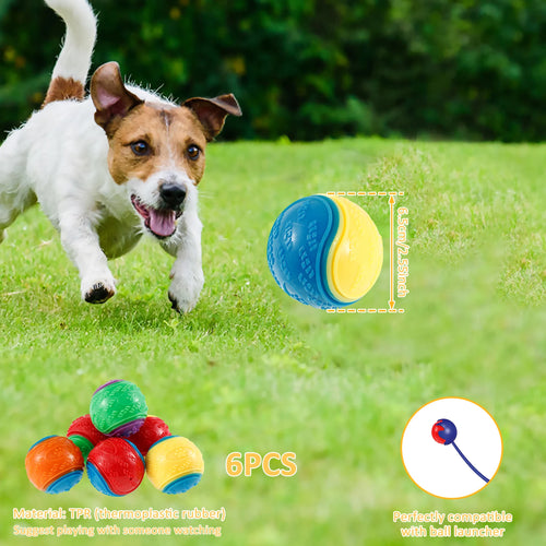 6 piece Squeaky Balls Interactive