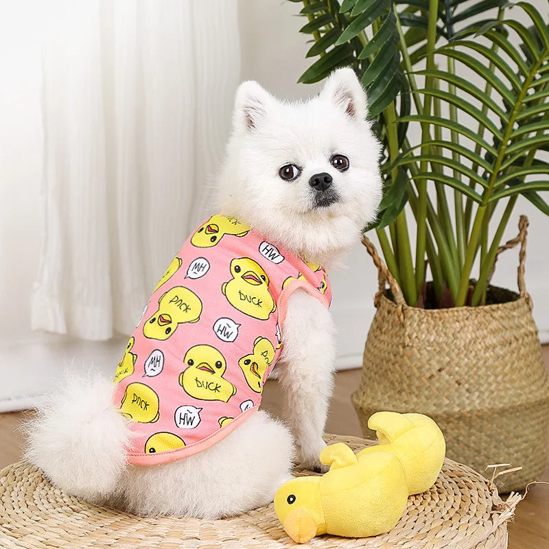 Soft Cotton Sweater