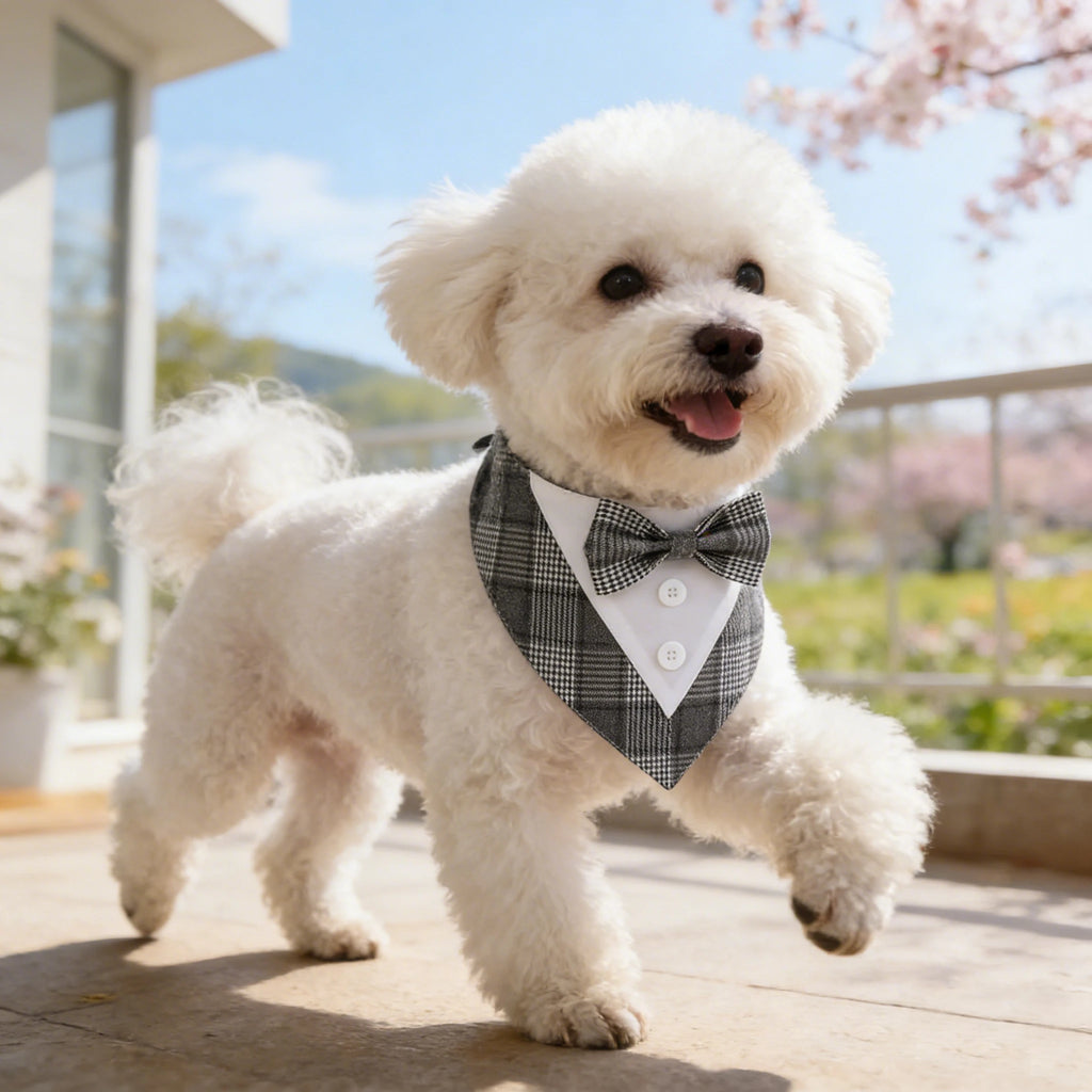 Bandana Bow Tie