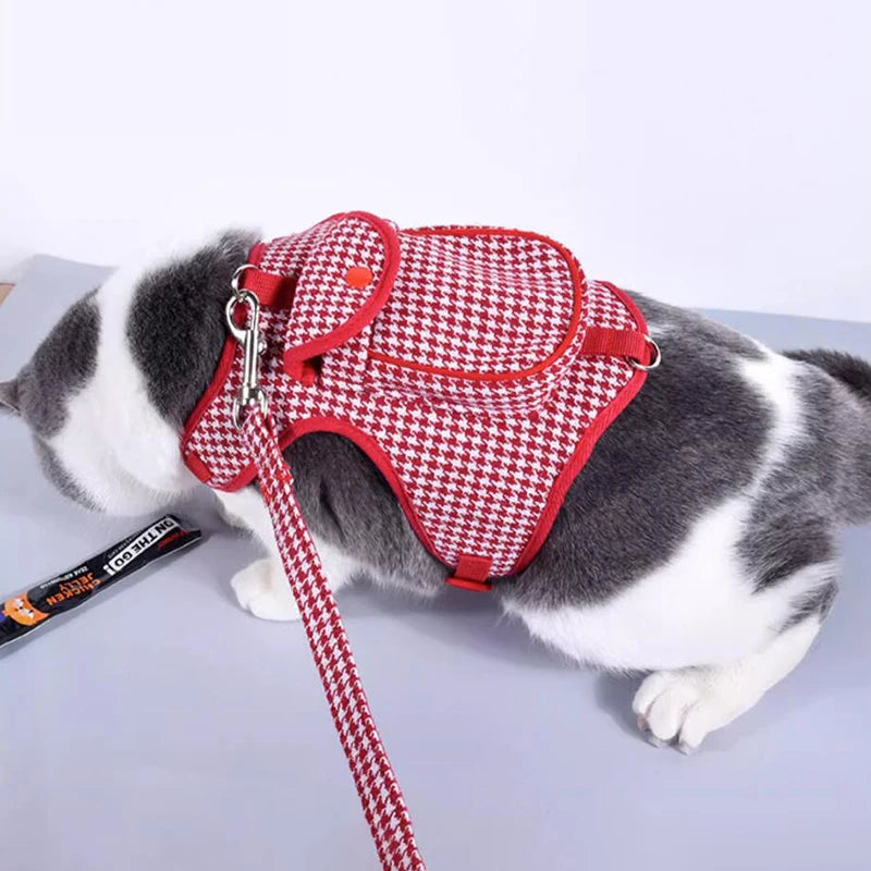 Harness and Leash Set