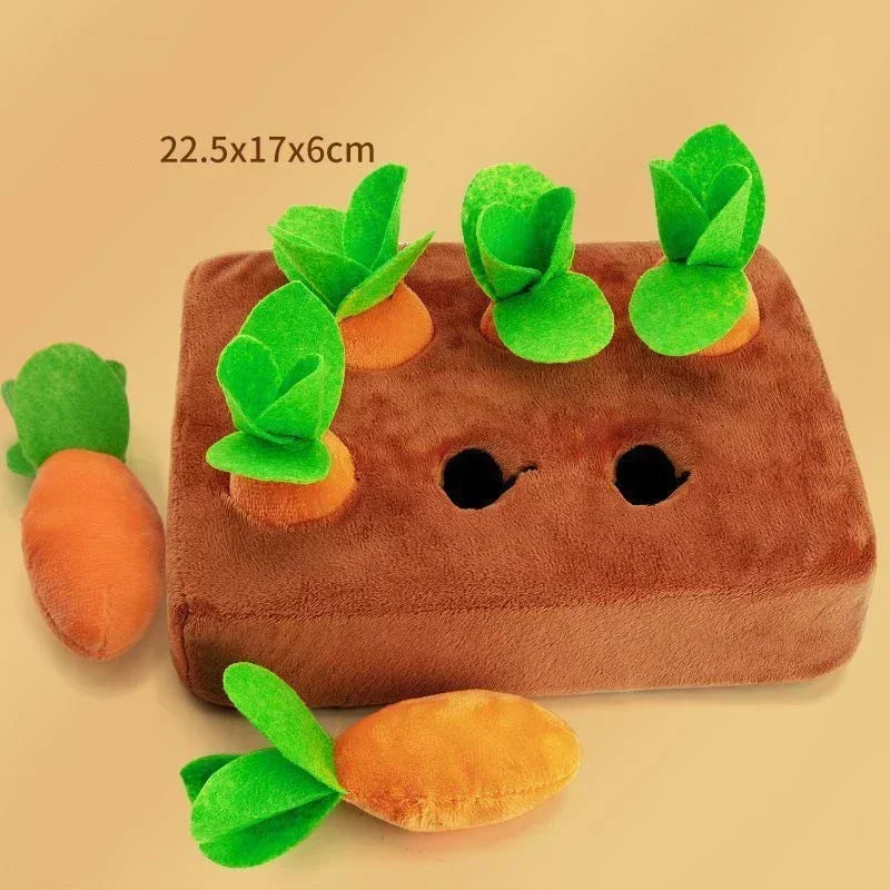 Carrot Toy Mat Innovative