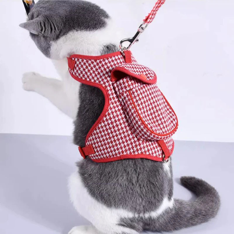 Harness and Leash Set