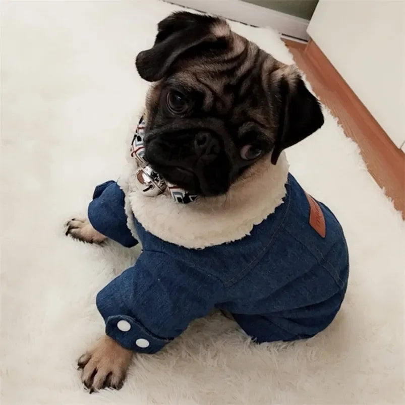 Denim Winter Warm Jacket