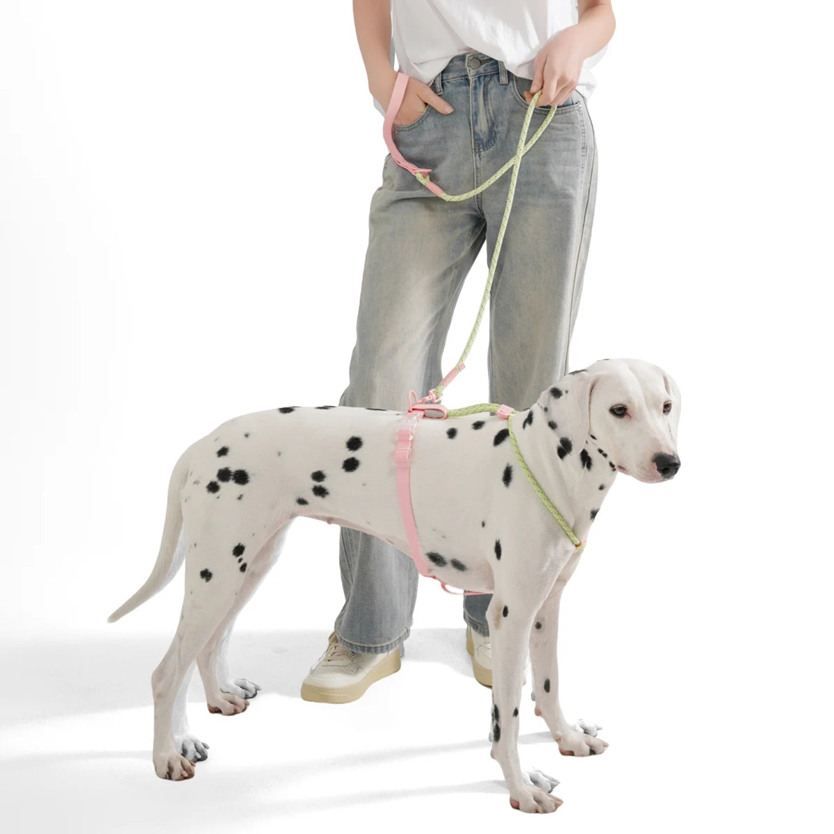 Small And Medium Harness Reflective Nylon Leashes