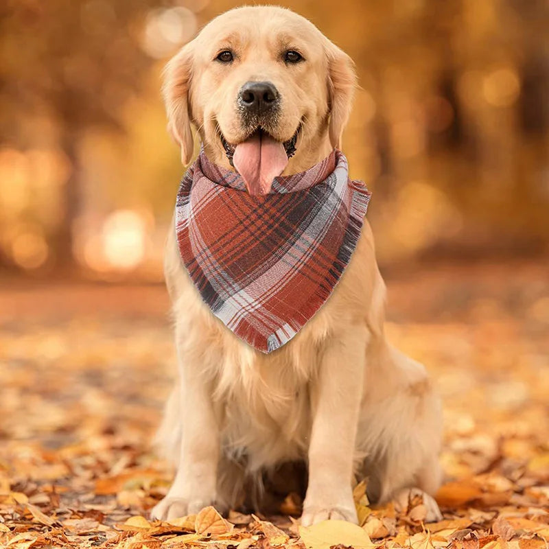 Medium Large Dog Bandana