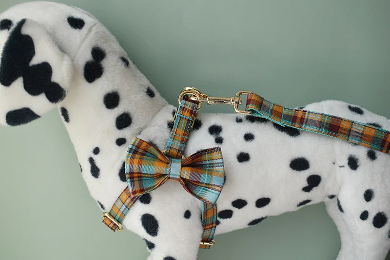 Collar Leash Harness Set Personalized