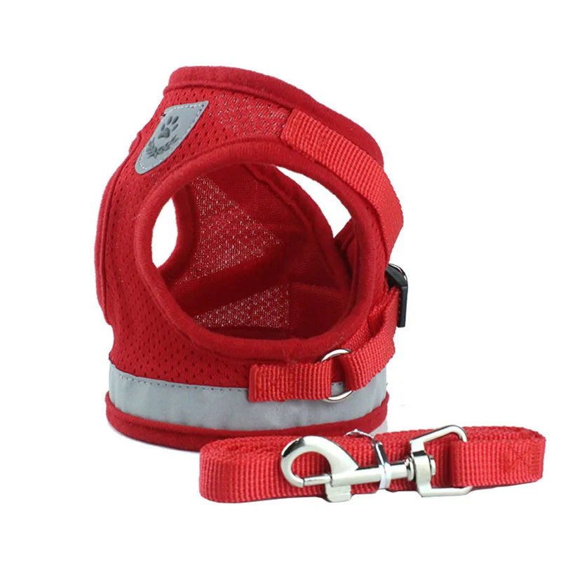 Sets Reflective Mesh Harnesses for Small