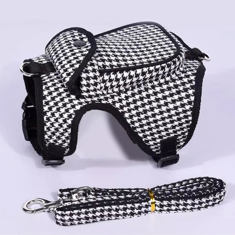 Harness and Leash Set