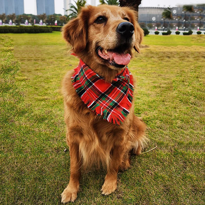 Medium Large Dog Bandana
