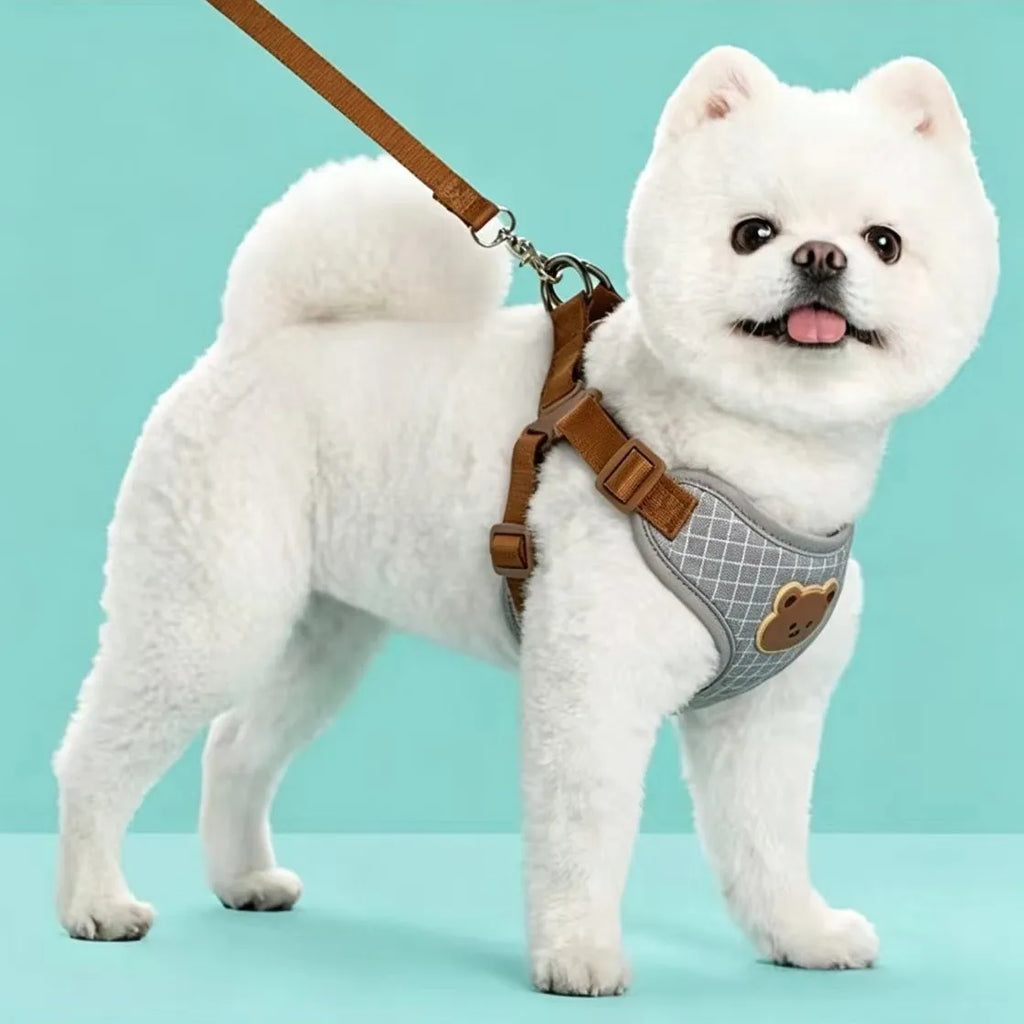 Harness Leash Set Small Medium Dog Cat