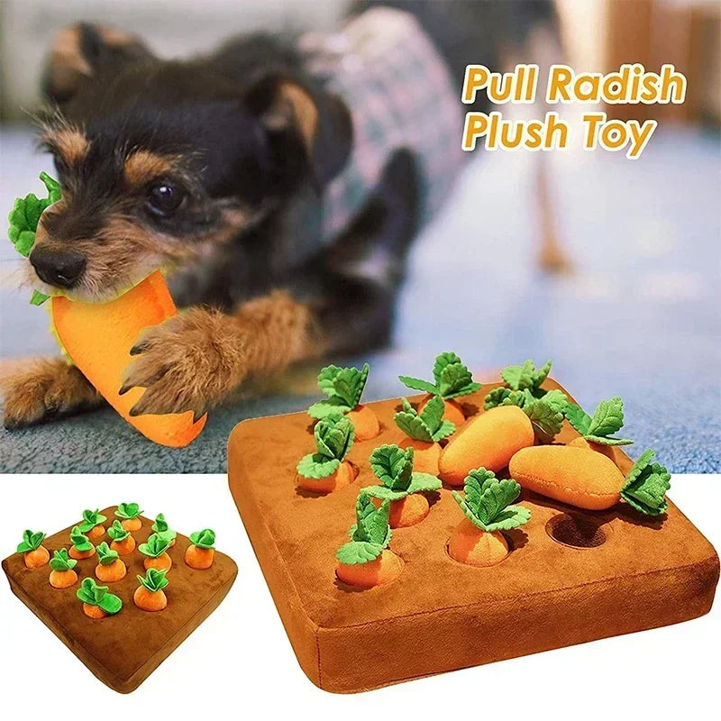 Carrot Toy Mat Innovative
