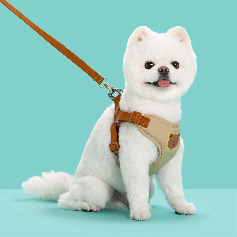 Harness Leash Set Small Medium Dog Cat