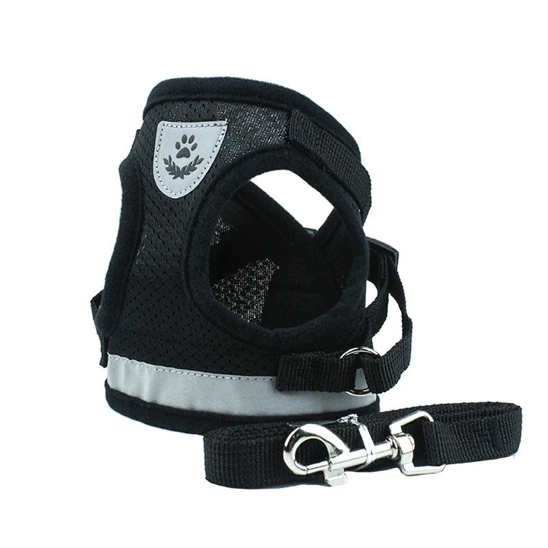 Sets Reflective Mesh Harnesses for Small