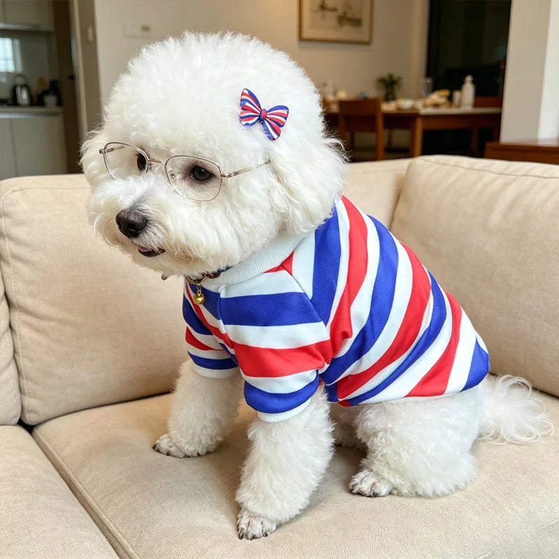 Fashionable Striped Hoodie